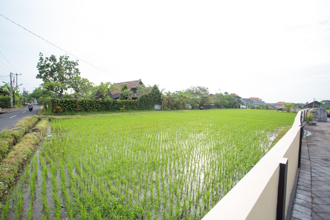 V Canggu Dormitory Exteriör bild